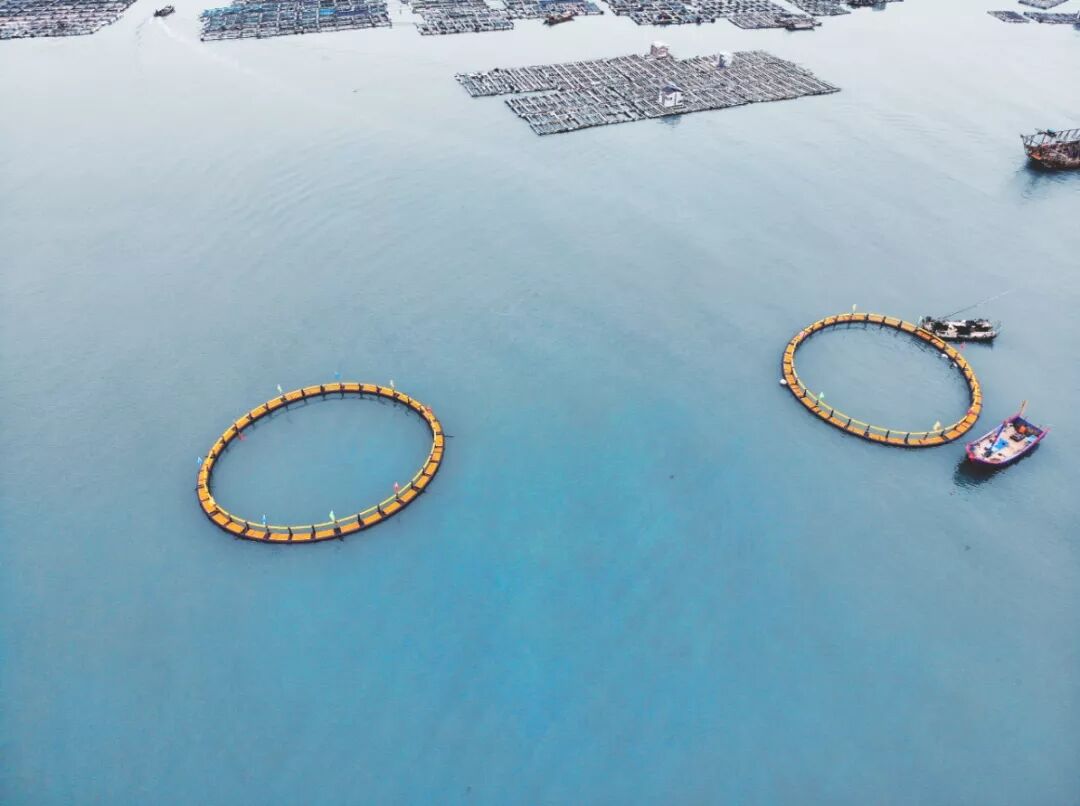 亞通資訊 | 莆田市首批深海抗風(fēng)浪網(wǎng)箱下海完成錨固