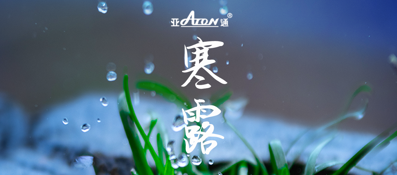 寒露 | 疏枝凝霜露，千山頌金秋