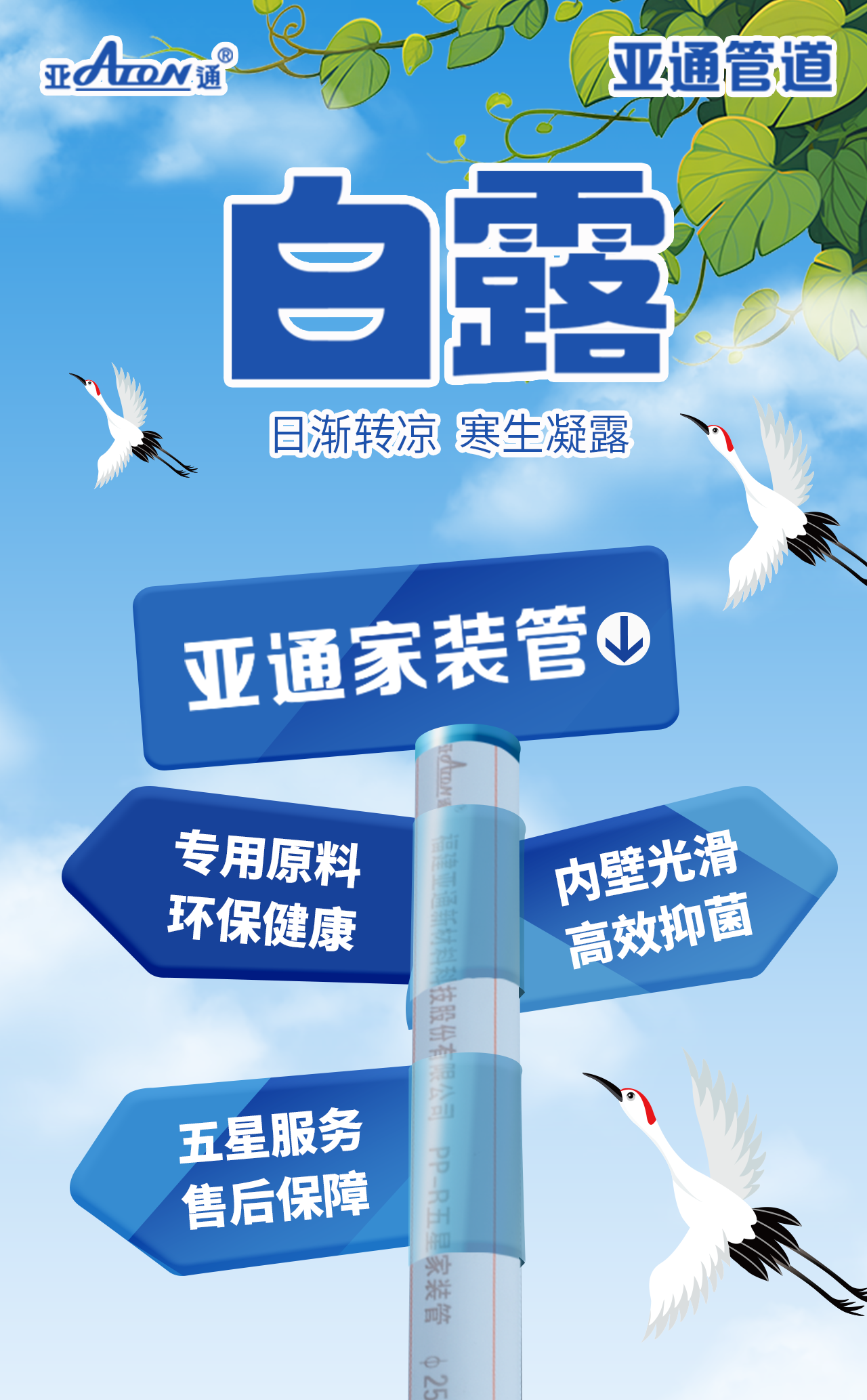 公眾號(hào)海報(bào)-白露.png